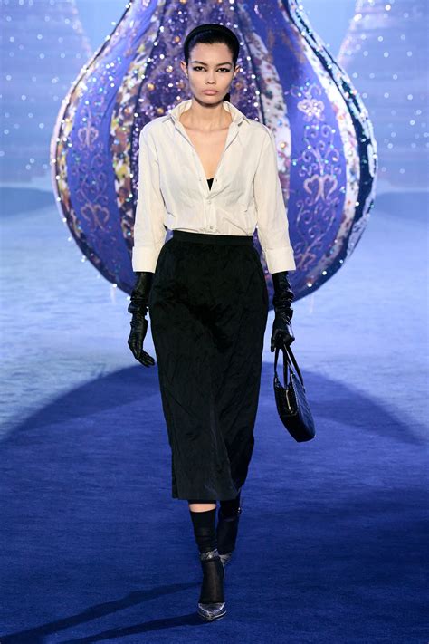 dior fall 2014 ready to wear|fashion week 2022 2023 Dior.